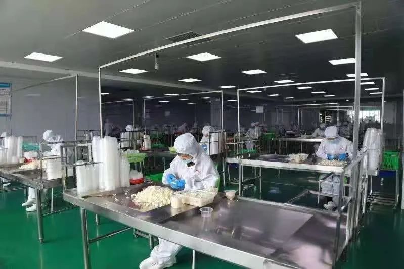 百合时蔬小炒,百合清炒鲈鱼