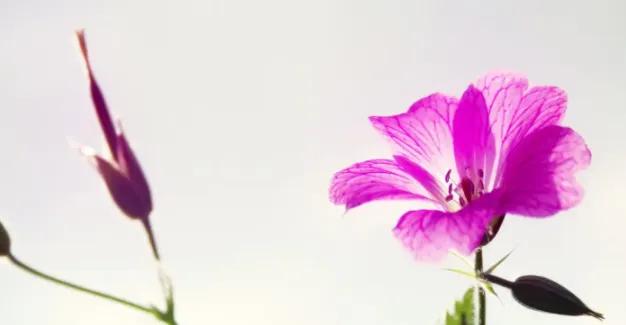 表示努力拼搏很霸气的句子,大格局女人努力挣钱的句子霸气