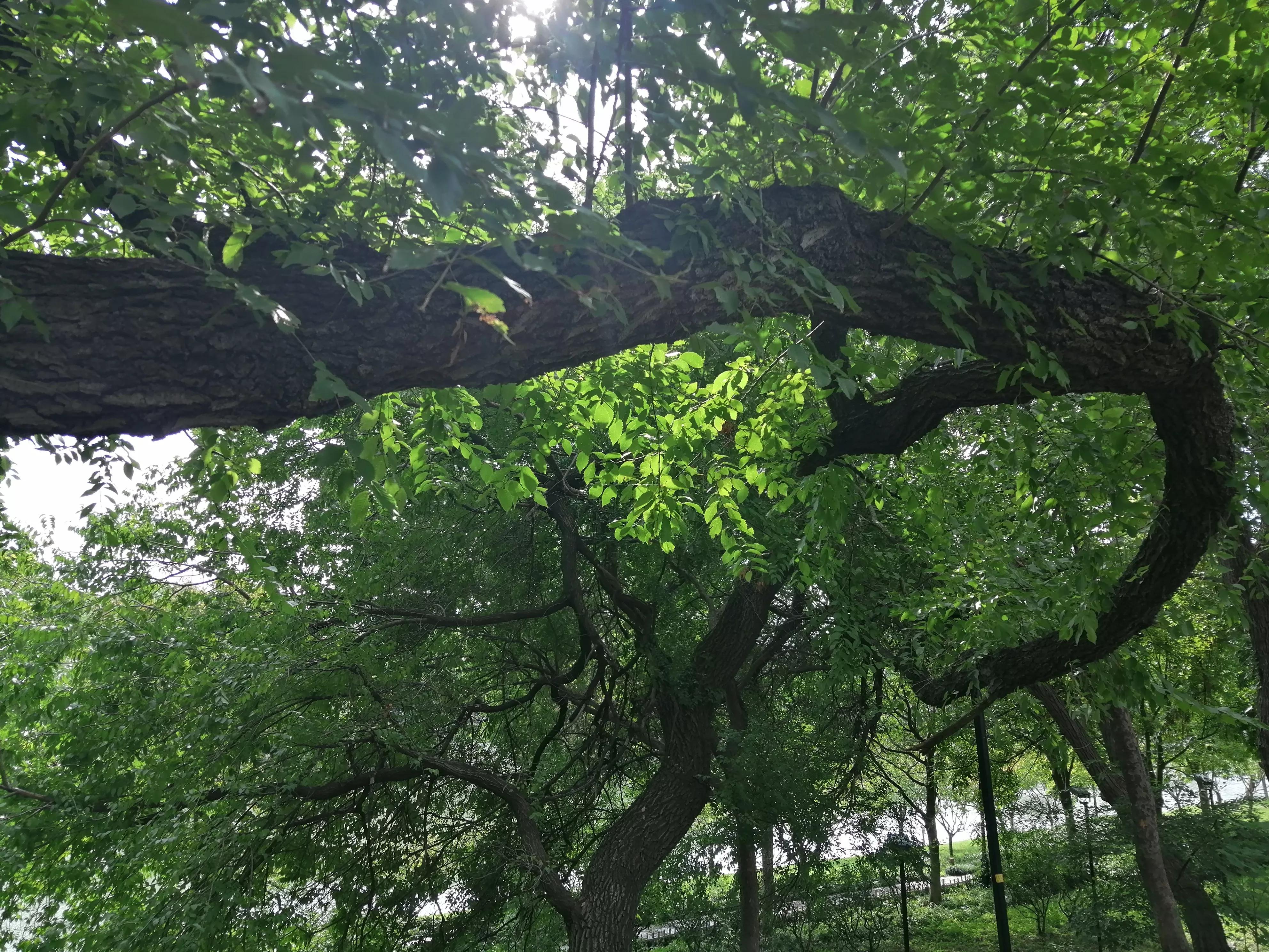 东园好玩的景点推荐,东园旅游景点推荐