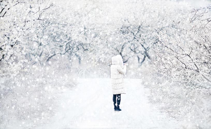 雪夜品禅诗八首,壶中无酒人半醉……