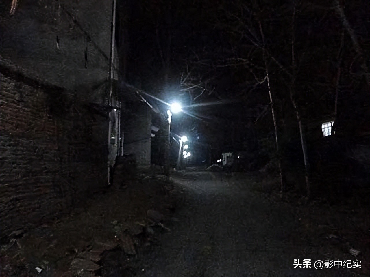 海南巨蟒为报恩当起“保姆”,50年代南海巨蟒事件