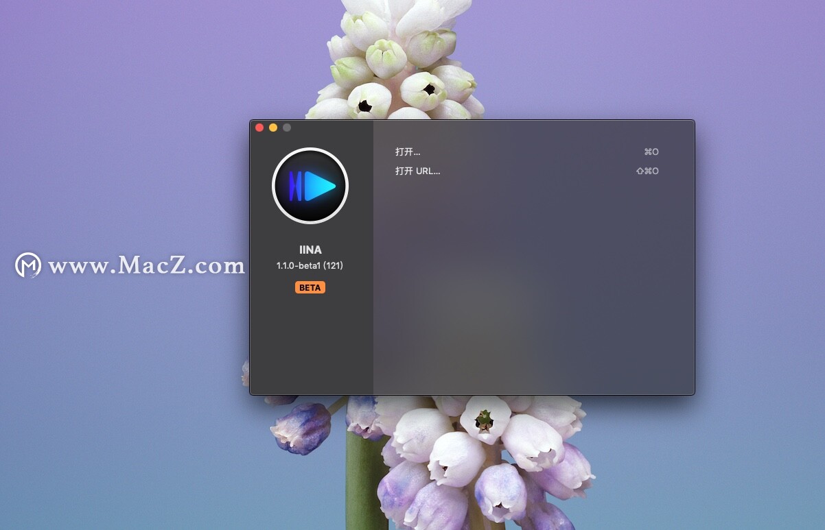 视频格式太冷门，用什么*放播**器好？