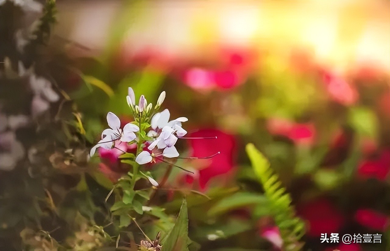 被人算计时应该做好哪些事,被人算计了要怎么防范才好