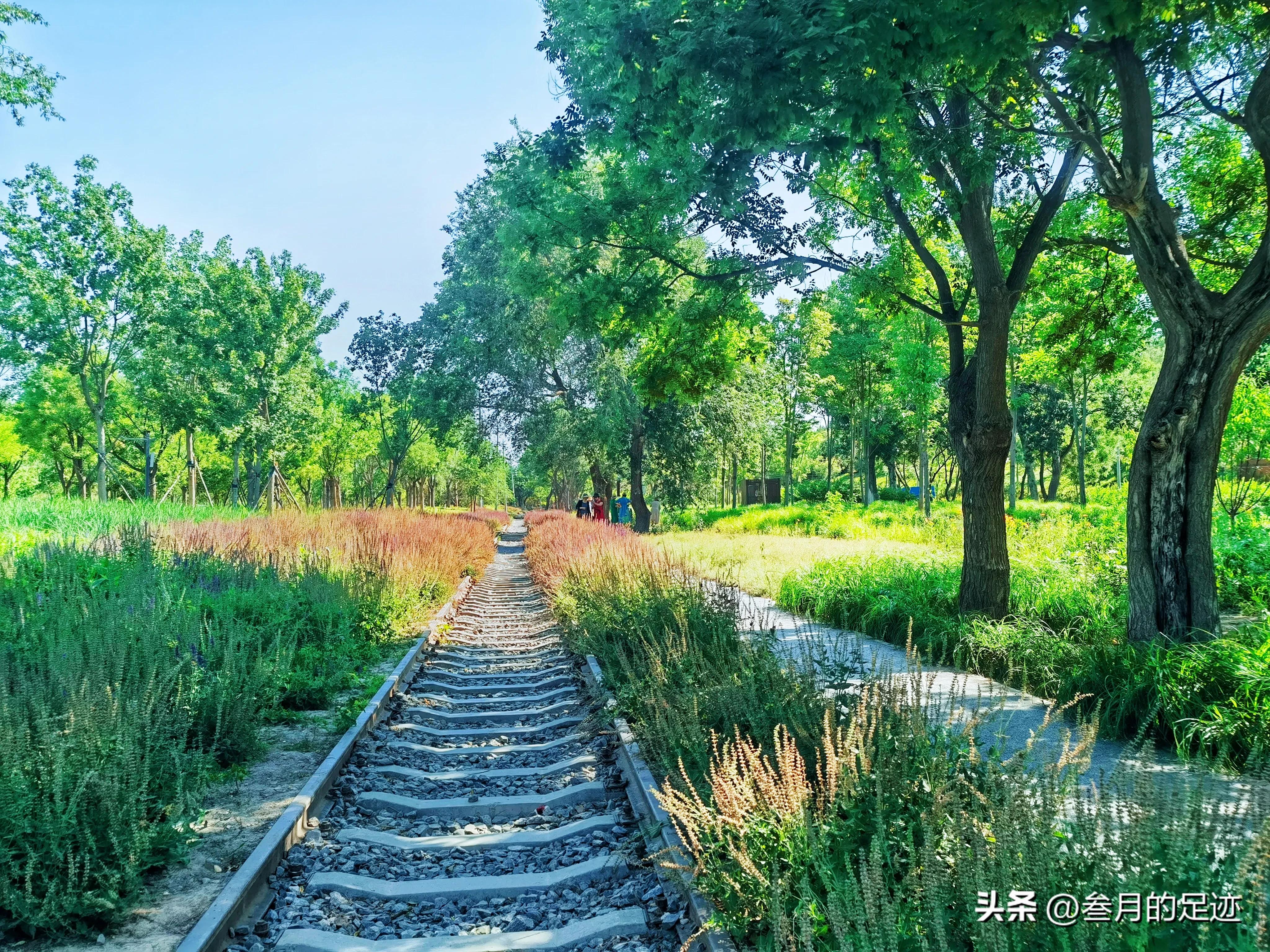 北京有哪些免费的大型公园,北京有铁道的公园