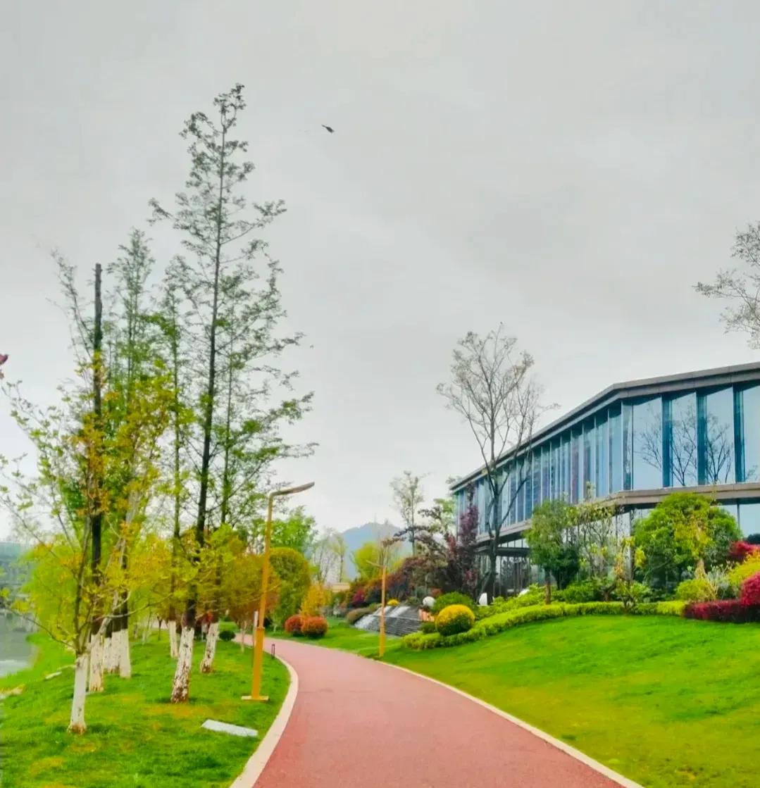 面对啃老的孩子父母要怎么办,面对啃老的儿子怎么办