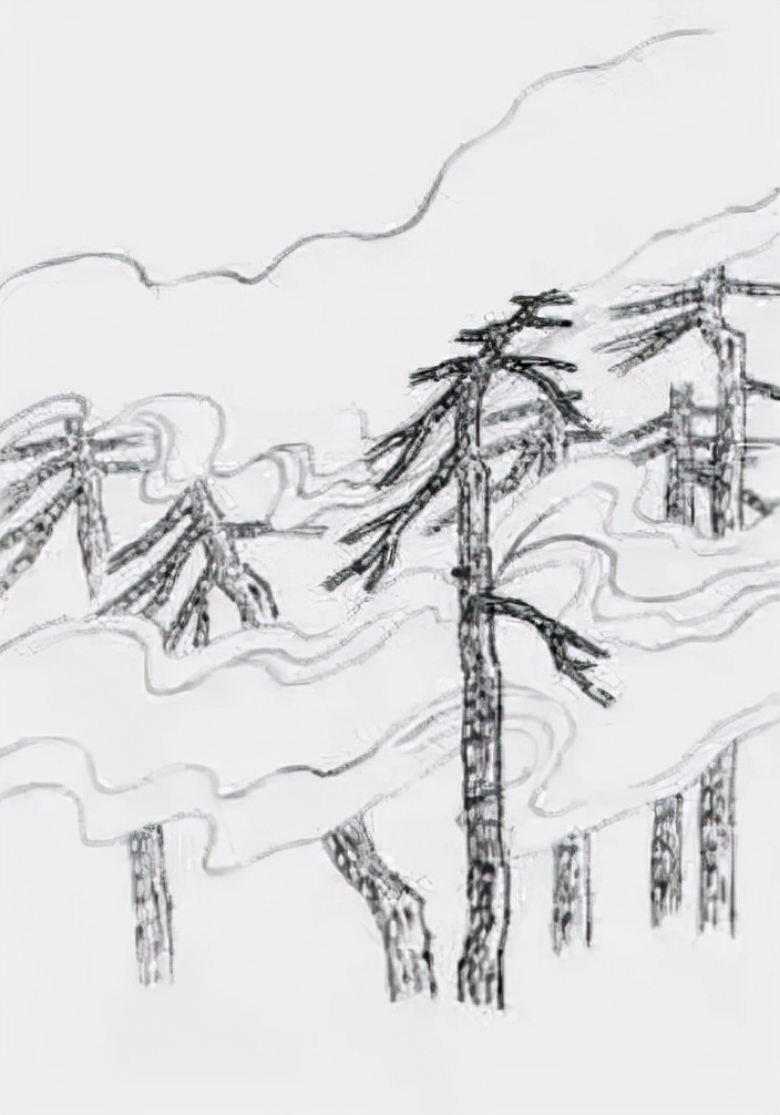 松树复杂画法,松树的十种画法