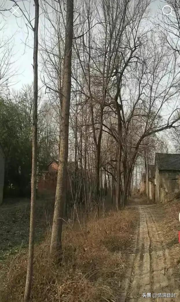 在自己家宅基地建房,在自己宅基地建房