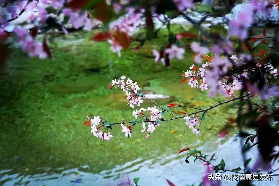 五一康养之旅,康养景区五一