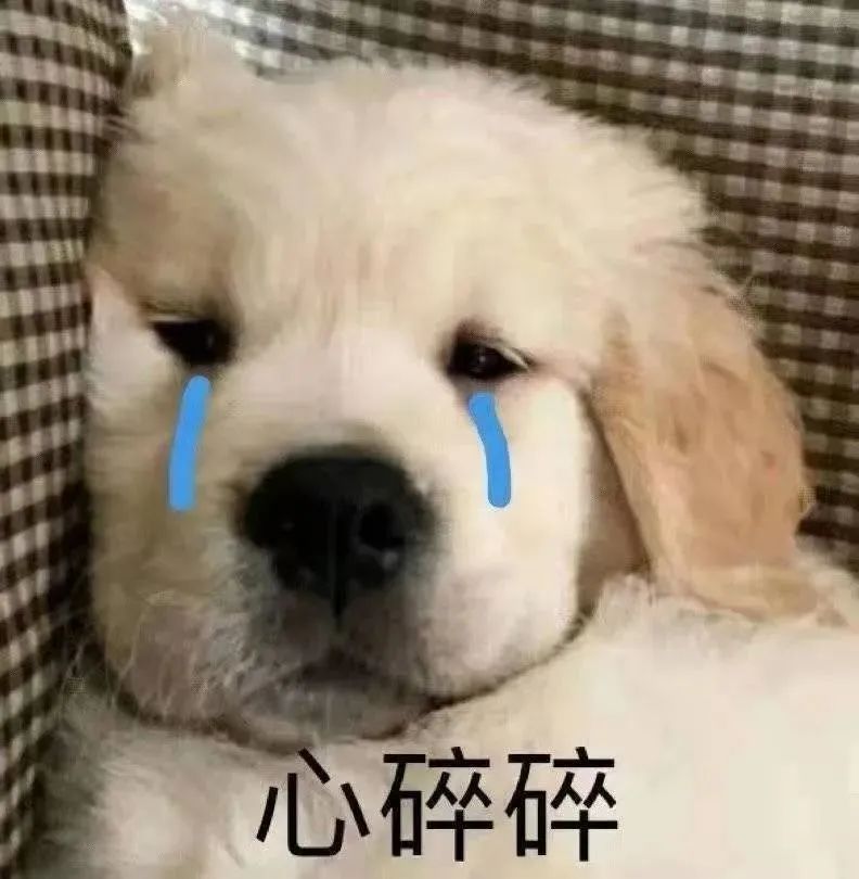 cpa应试指南和经典题解区别,cpa逢考必过的方法