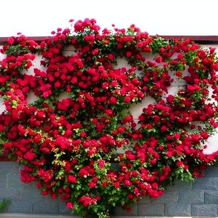 云南绝美十大仙境,云南发现真正的世外桃源