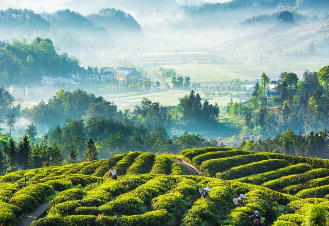 田园诗十大经典诗,田园十首经典诗