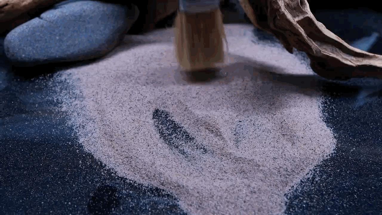 水草小缸养什么鱼最好,适合小型裸缸养的鱼