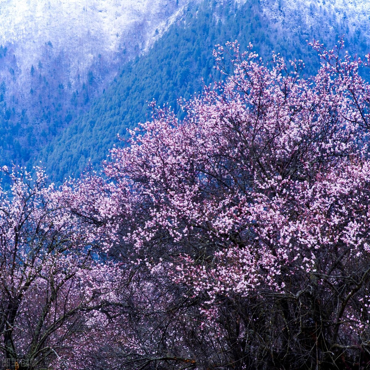 值得一看的全本小说,值得一看的小说免费