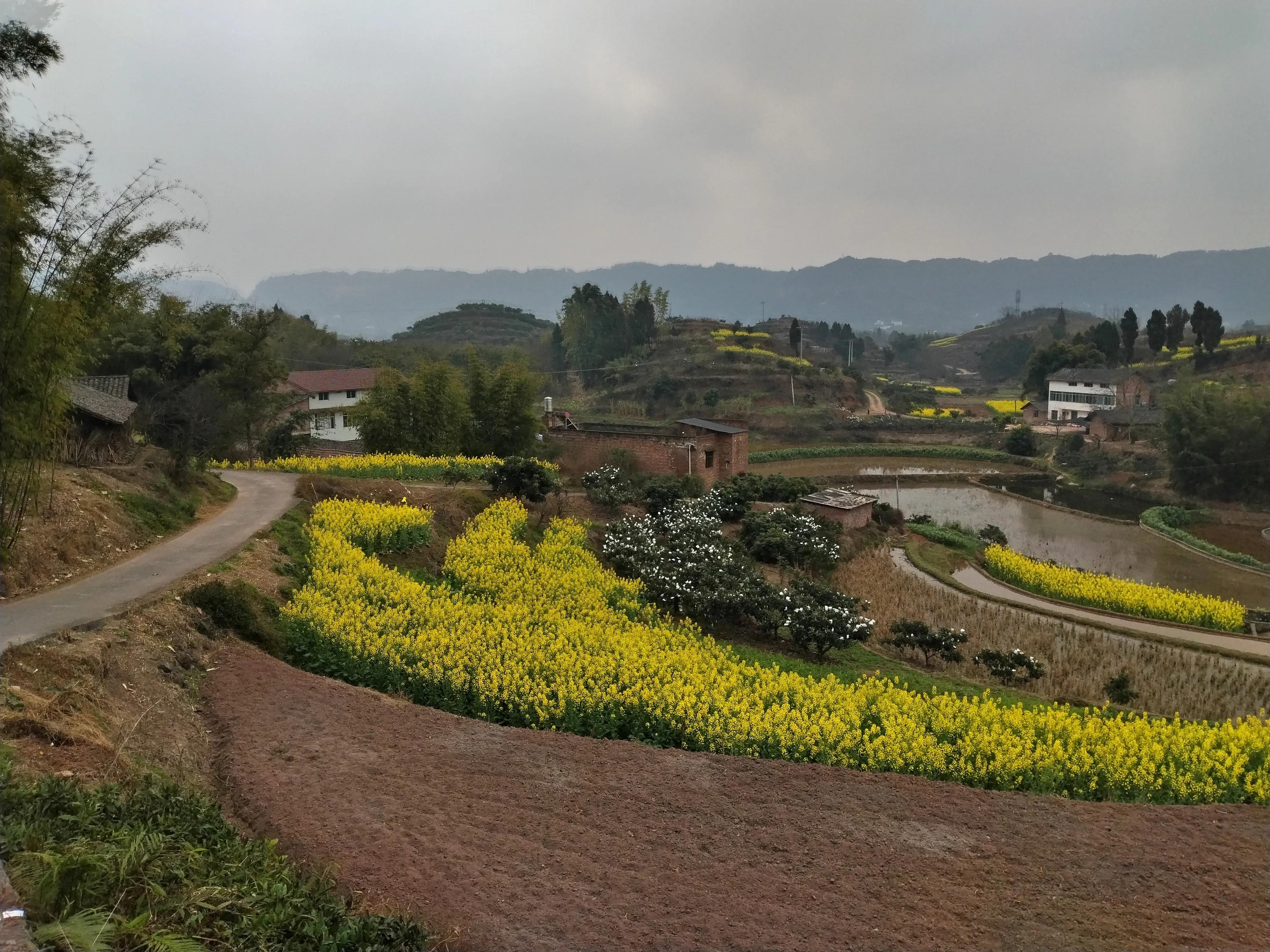 乡村田园小说,乡村田园解压