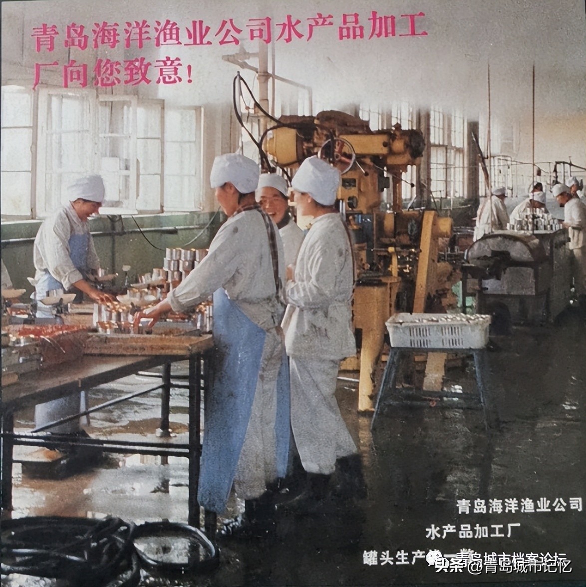 鱼肝油、美味烤鱼片、鱼罐头，难忘的海洋渔业公司水产品加工厂