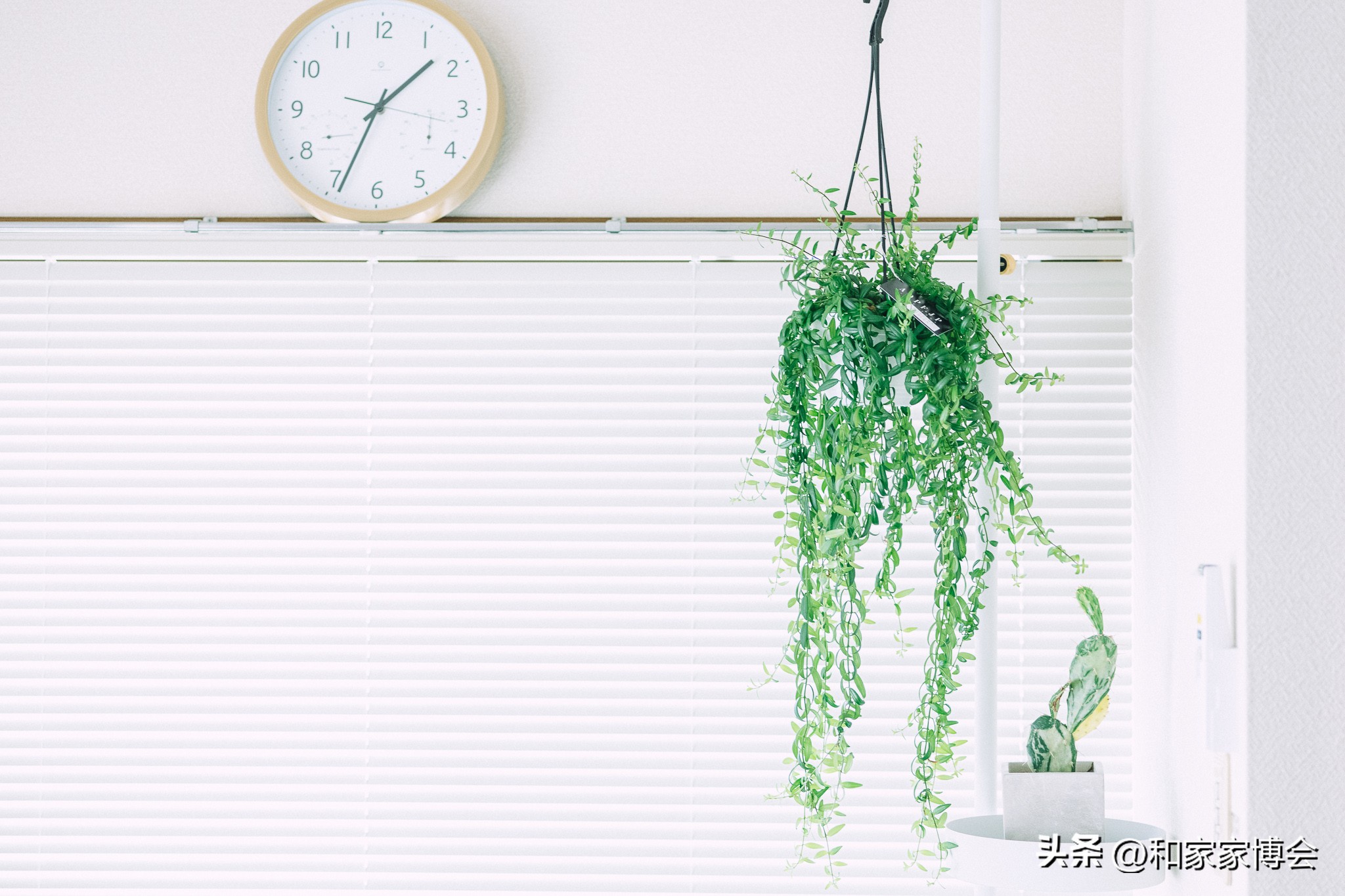 日本房屋设计师的日常,日本设计师在中国设计的房屋