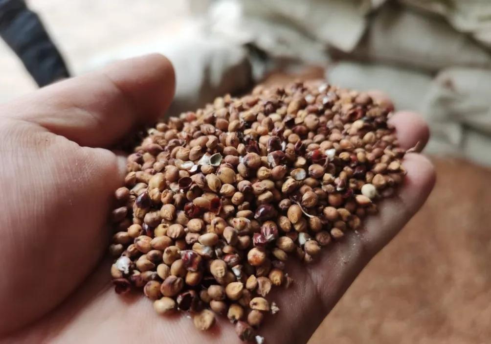 梦之蓝哪款酒最好喝,梦之蓝酒好不好喝