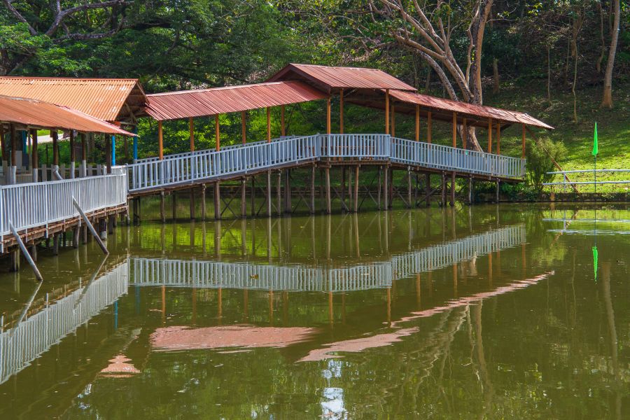 潮州绿岛山庄景点简介视频,潮州绿岛山庄
