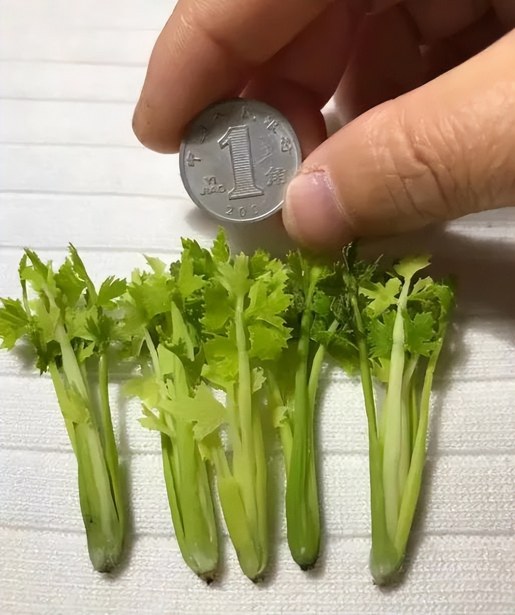 90后妈妈因造假走红,网红辣妈骗局