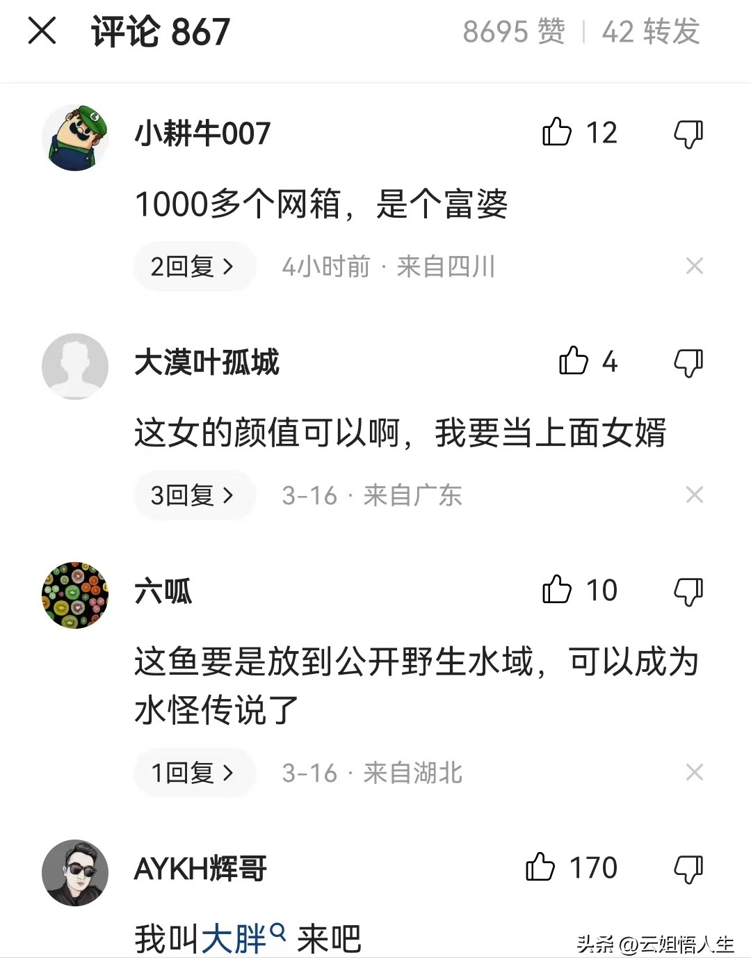 湖南女子喂养500斤大鱼当作宠物,女子养500斤大鱼当宠物视频