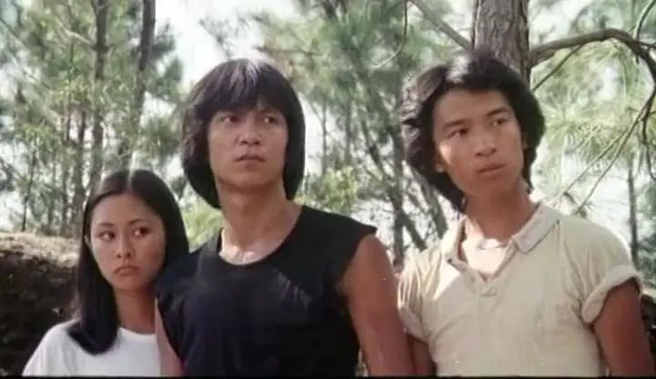 在没电影看的日子里，怀念那些没电影看的日子｜杨殳专栏