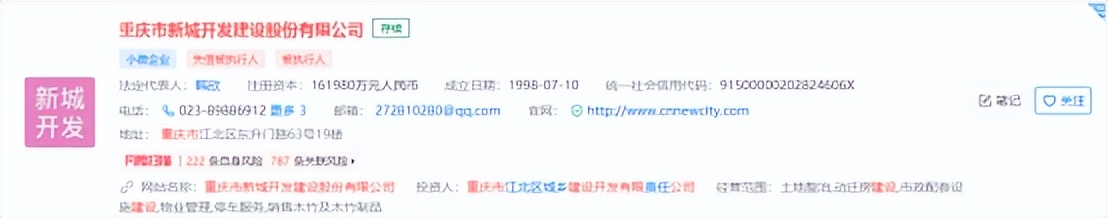 重庆房地产开发商破产,重庆某开发商被追债