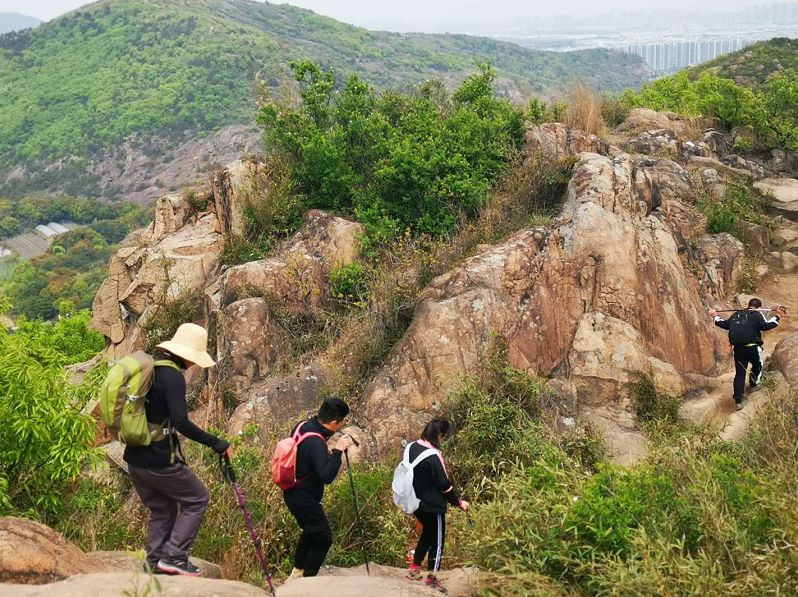 爱旅经常组织的市内登山路线，传说健康的人都去了这里......