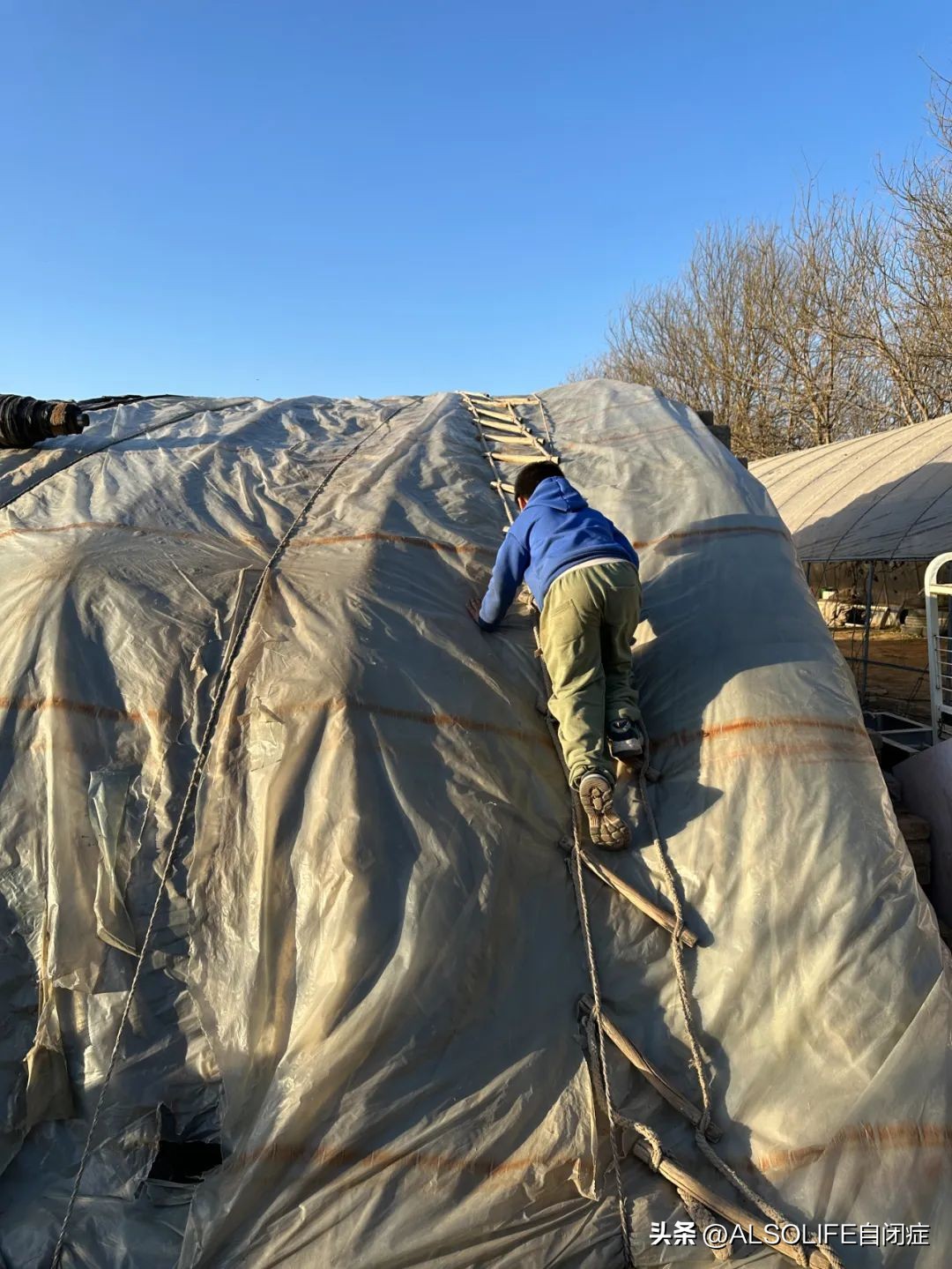 一个特需家庭的融合农场实验