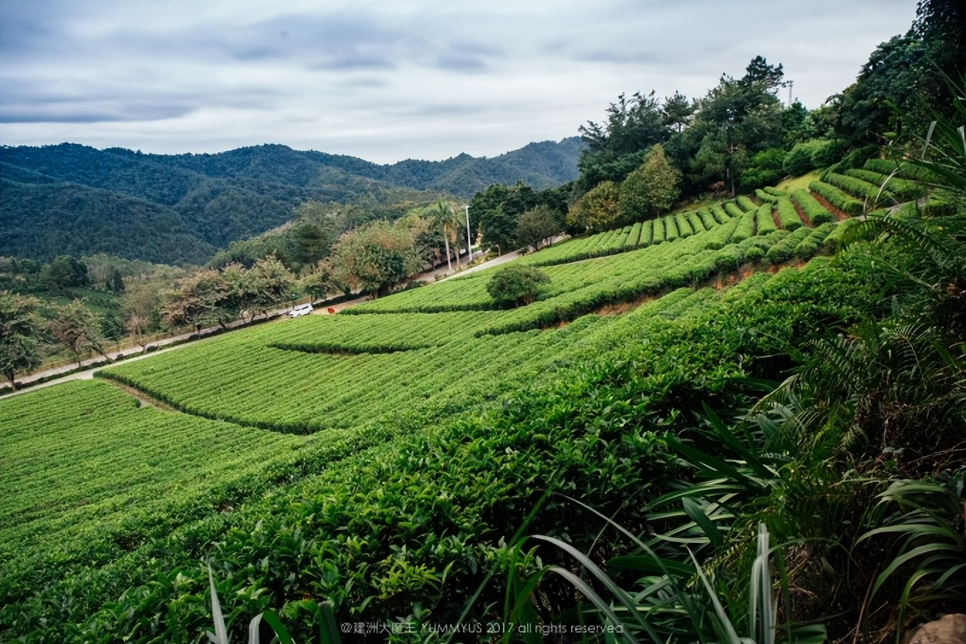 广州到潮汕自驾游攻略图,广州到潮汕自驾游路线攻略