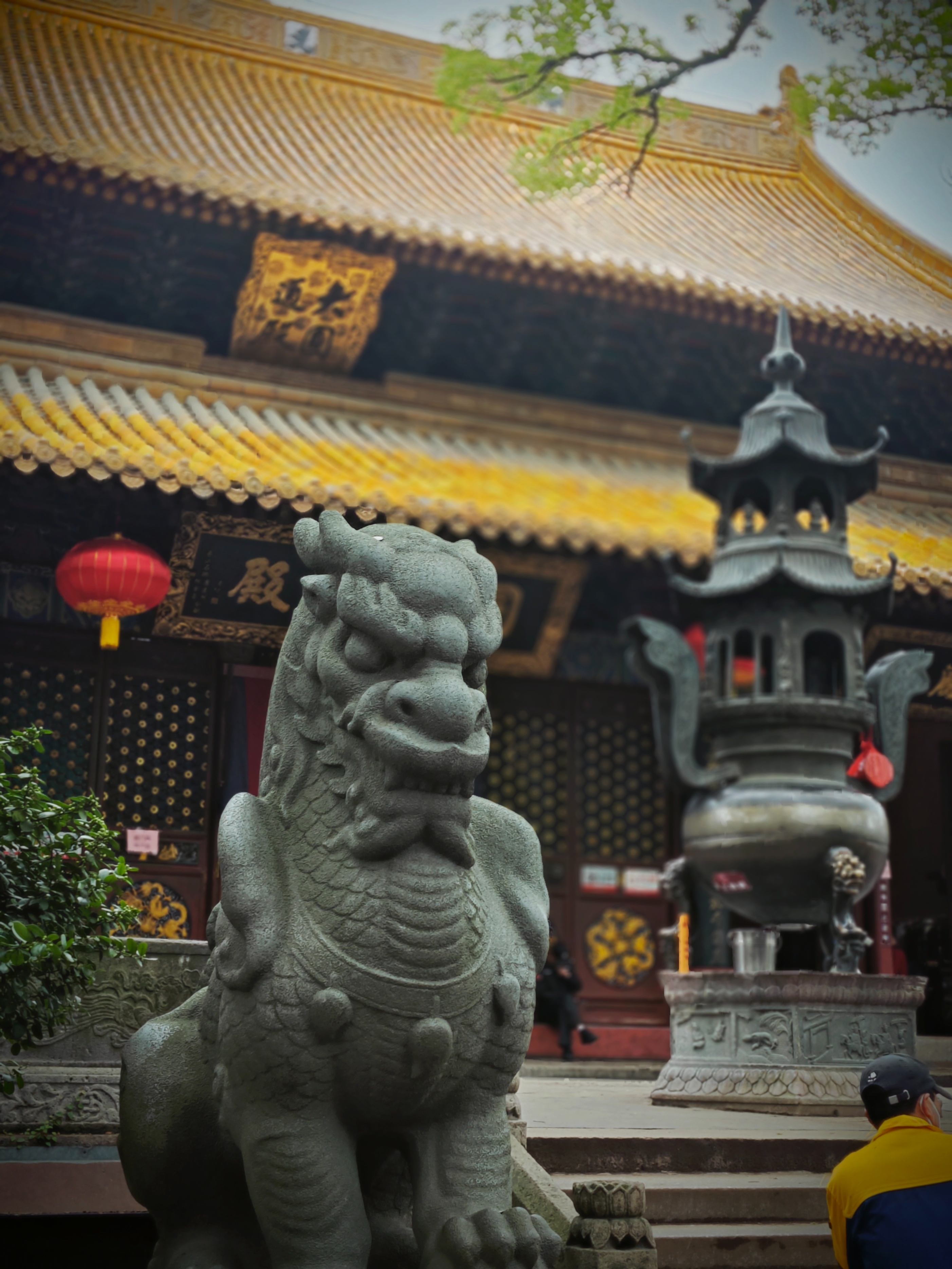 第三年到普陀山祈福之旅圆满,普陀山祈福二日杭州出发跟团游