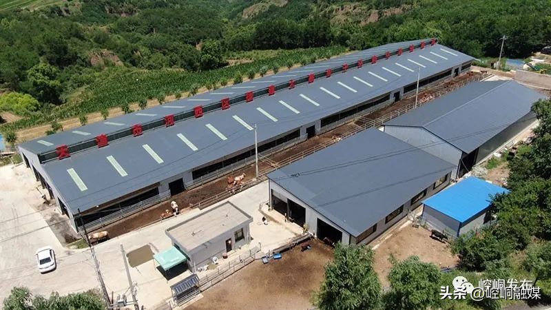 “我们这十年”丨崆峒：“畜”势勃发“牧”歌欢唱