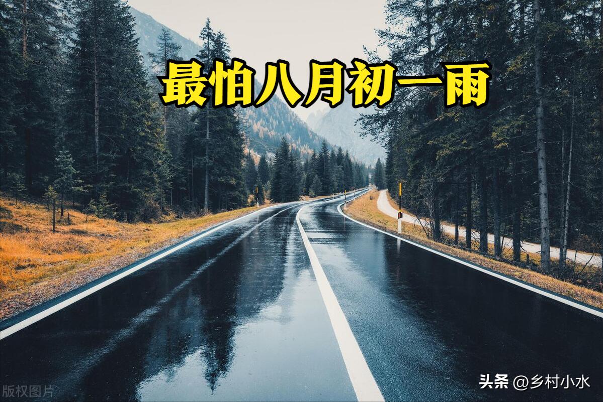 八月初一下雨意味什么,一月初八下雨有什么预兆吗