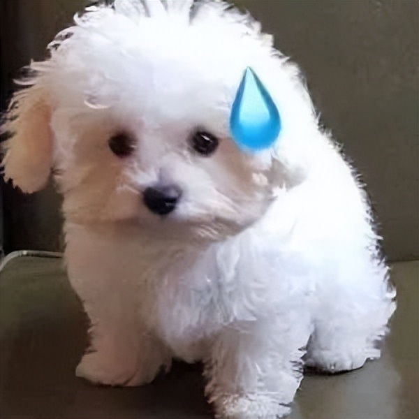 贩剑表情包评论区,贩剑表情包不回消息