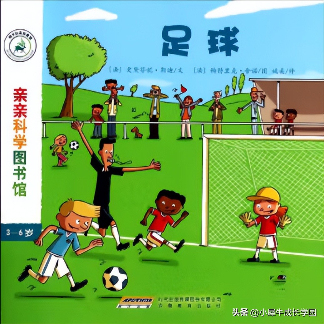 世界杯导入新课,世界杯足球赛小知识