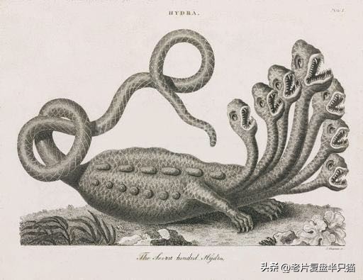 哥斯拉20个泰坦解析,哥斯拉2泰坦巨兽彩蛋