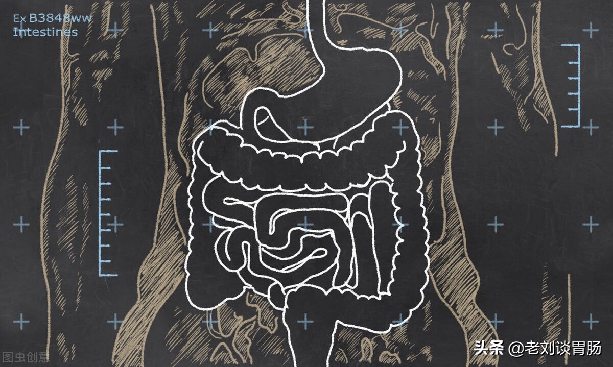 胃肠功能性紊乱怎么治疗,什么是胃肠动力不足