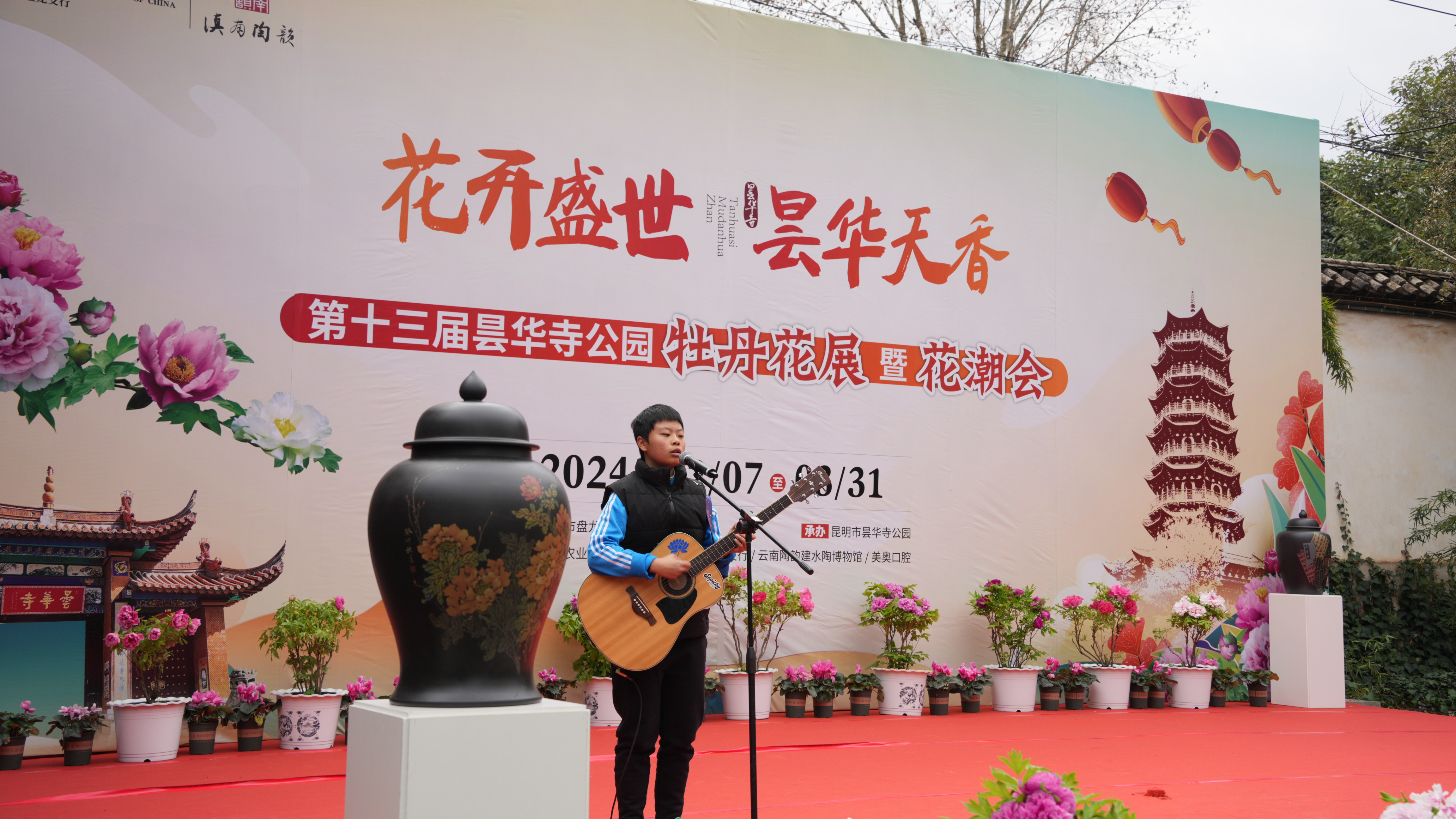 我的春城年|昙华寺花潮会牡丹花怒放