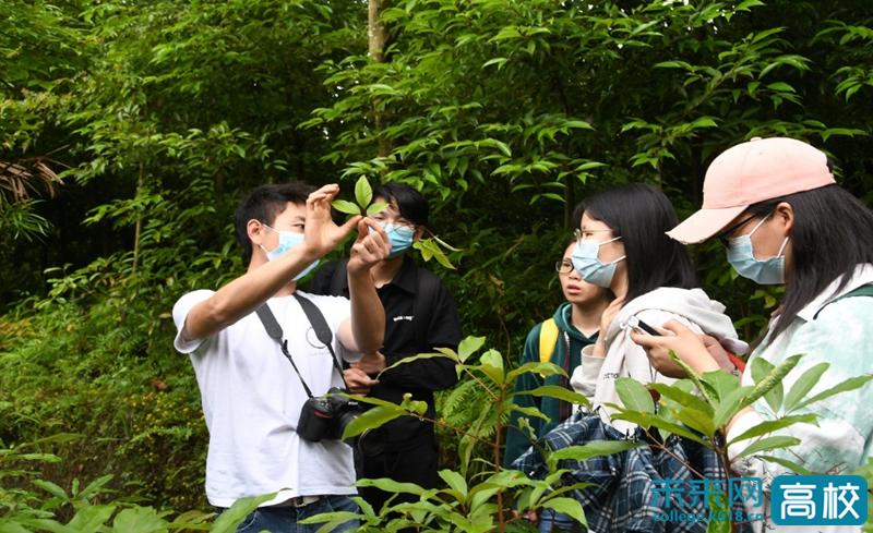 湖北民族大学林学和园艺专业,湖北民族大学园艺林学学院简介
