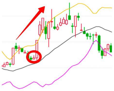 炒股心得是什么,炒股心得选股和买卖股票