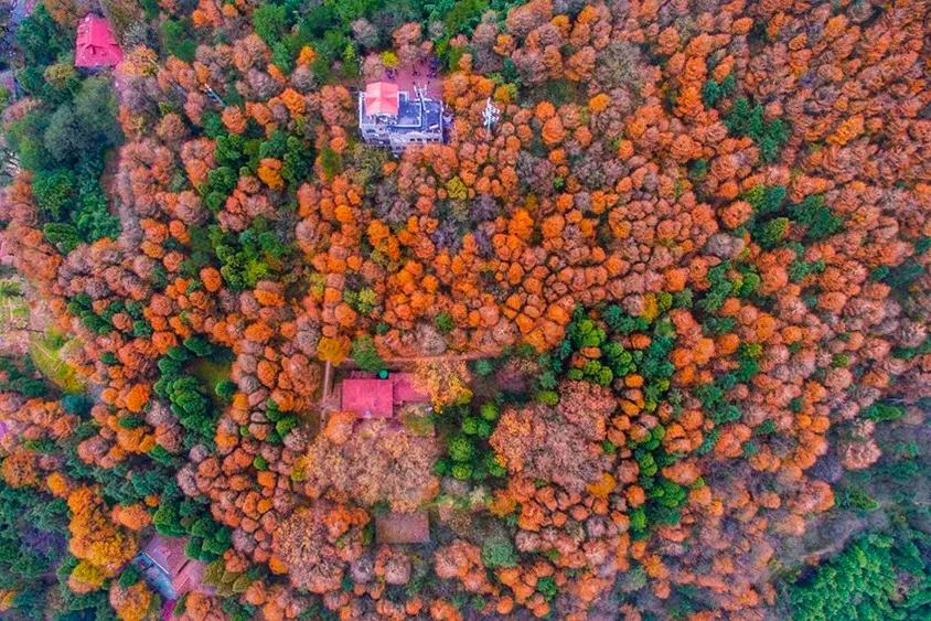 在浙江生活优点缺点,生活在浙江到底是什么样的体验