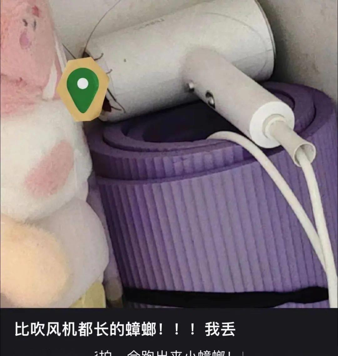 花了1000块钱拍艺术照,花了900元拍的照片