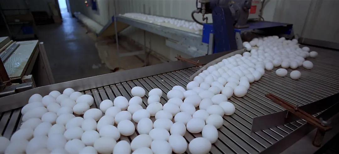 如果人类可以随意穿梭太空,如果人类进入外太空会怎么样