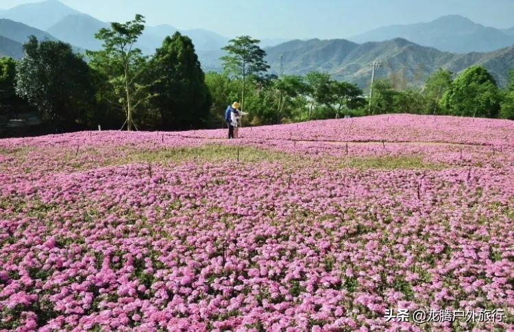 中国最美的古村寨,中国必打卡的56个民族古村寨