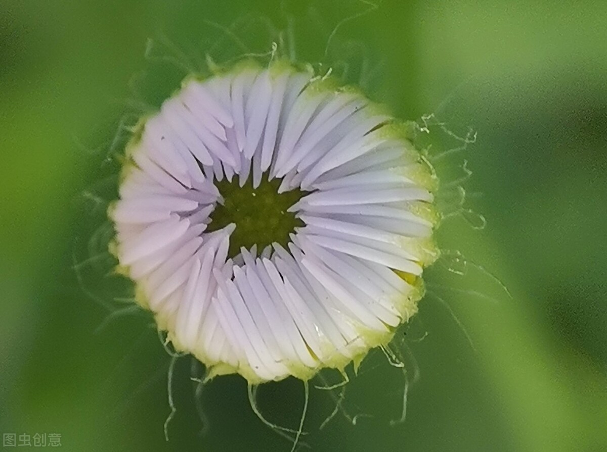 适合520的告白文案,520告白文案异地恋