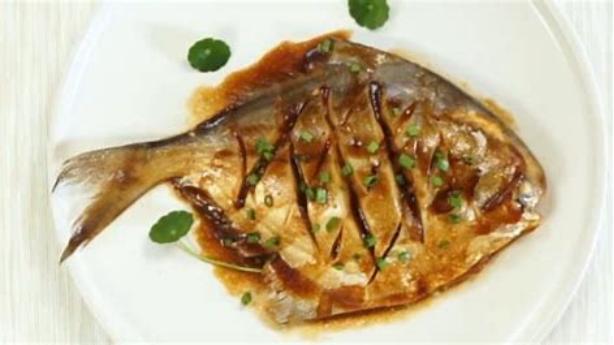 无穷小亮的科普日常海洋生物,无穷小亮的科普日常美丽的海洋25