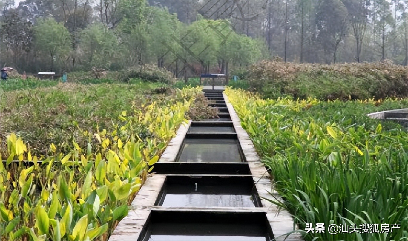 汕头未来5年投资1000亿,汕头龙湖区4a风景区