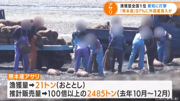 在日本捡蛤蜊,日本蛤蜊中国