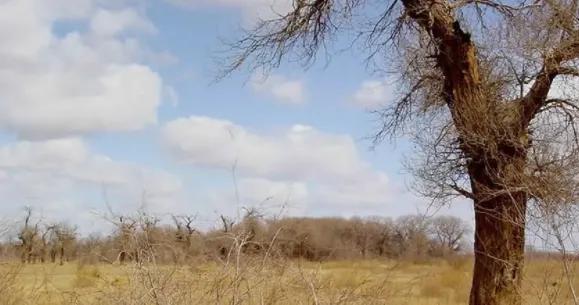 三观不合的经典句子说说,三观不合的人伤感说说