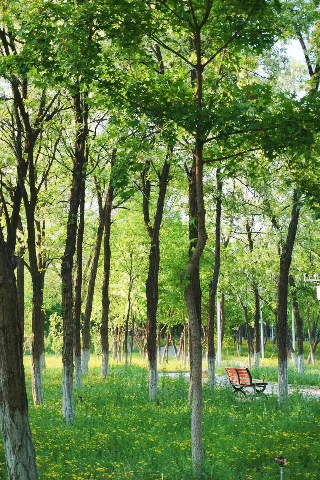 【FENG娱】王佐镇：娱乐+科普+自然，暑假解锁亲子出游新方式！