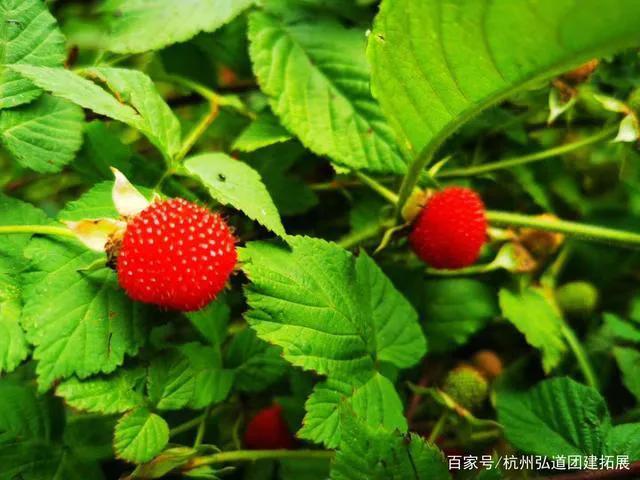 人生苦短生活不易看淡看开,人生不易岁月苦短这就是生活